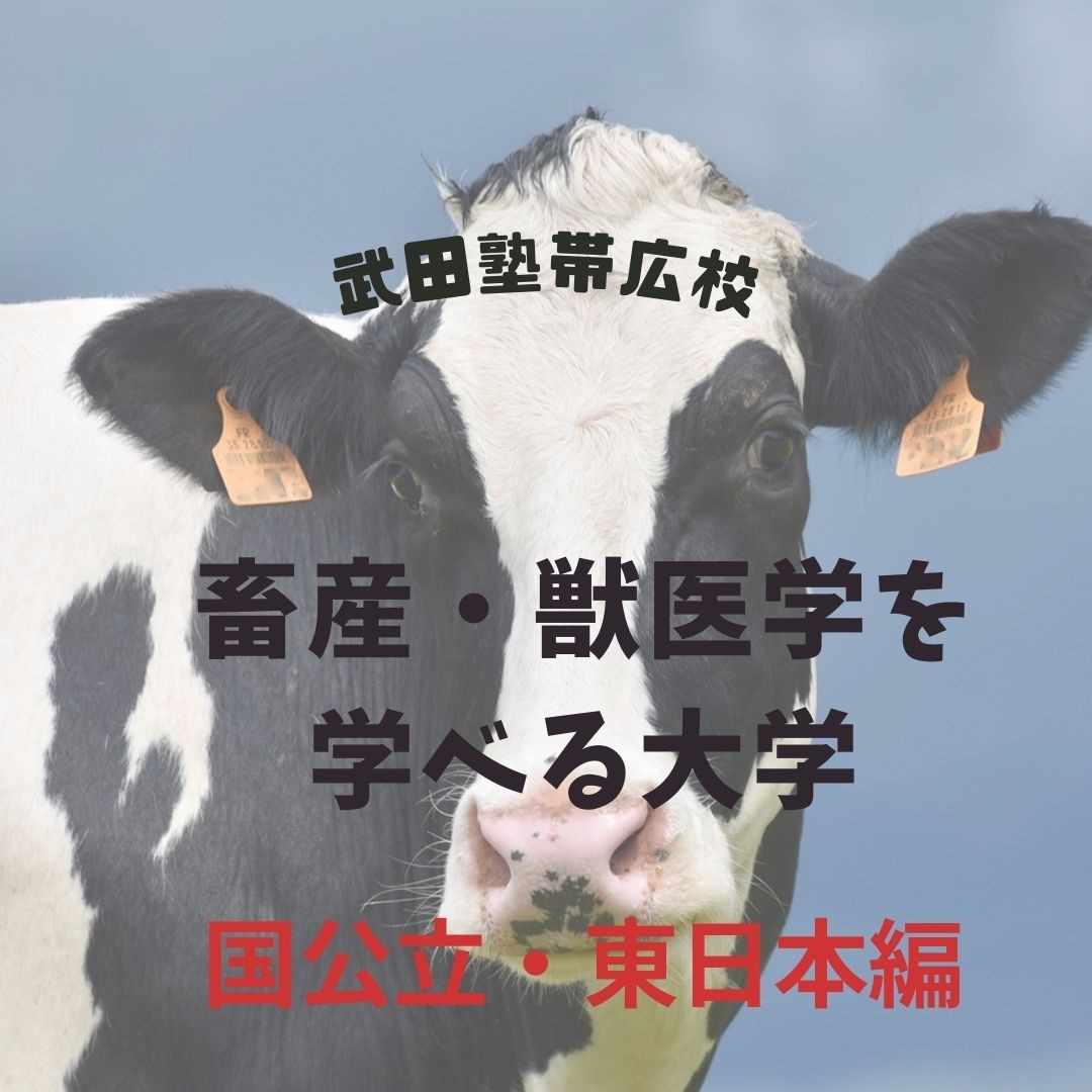 畜産学・獣医学を学べる大学【国公立大学・東日本編】