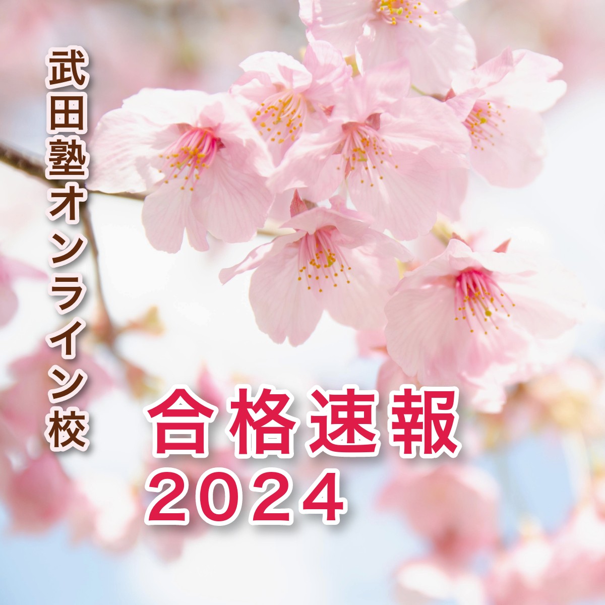 【合格速報】2024年度武田塾オンライン校 最新版合格実績！