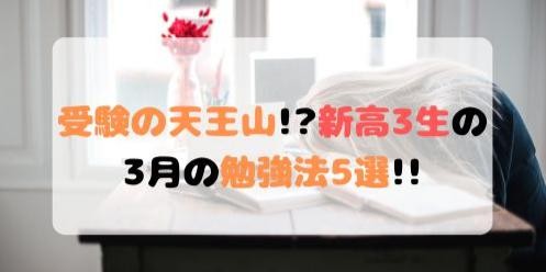 新高3 受験勉強　やり方