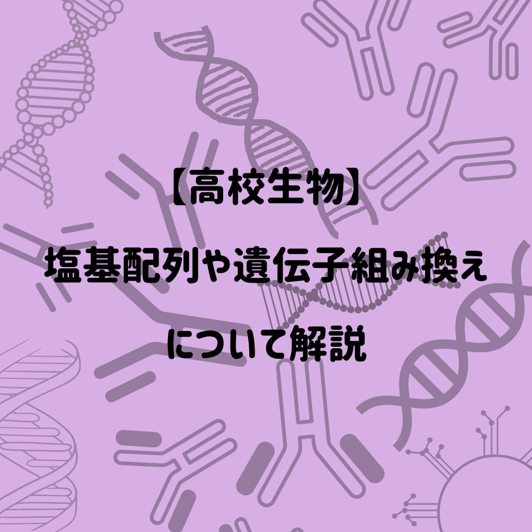 【高校生物】塩基配列や遺伝子組み換えについて解説
