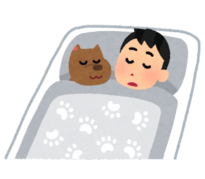 犬と寝る人のイラスト