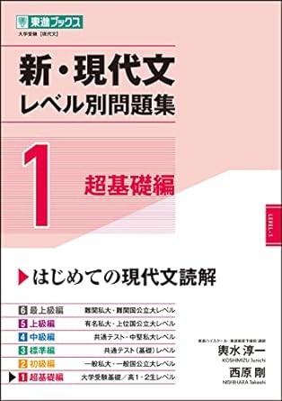 新現代文レベル別