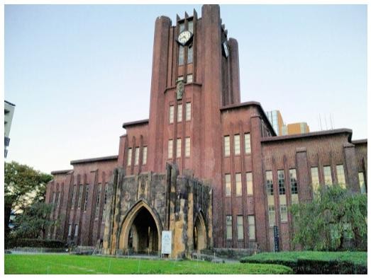 東京大学　空　木