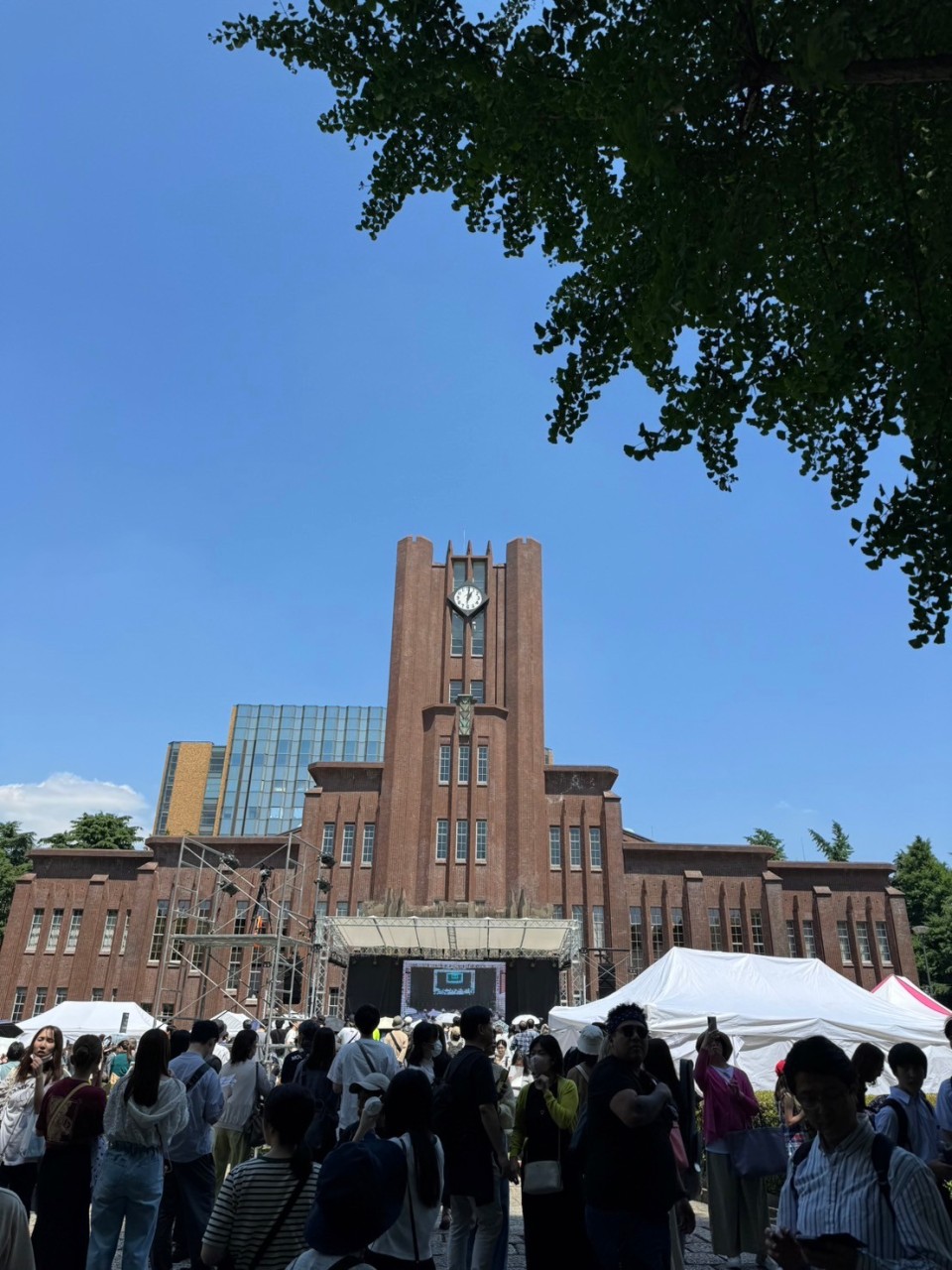 LINE_ALBUM_五月祭 ブログ写真_240521_4