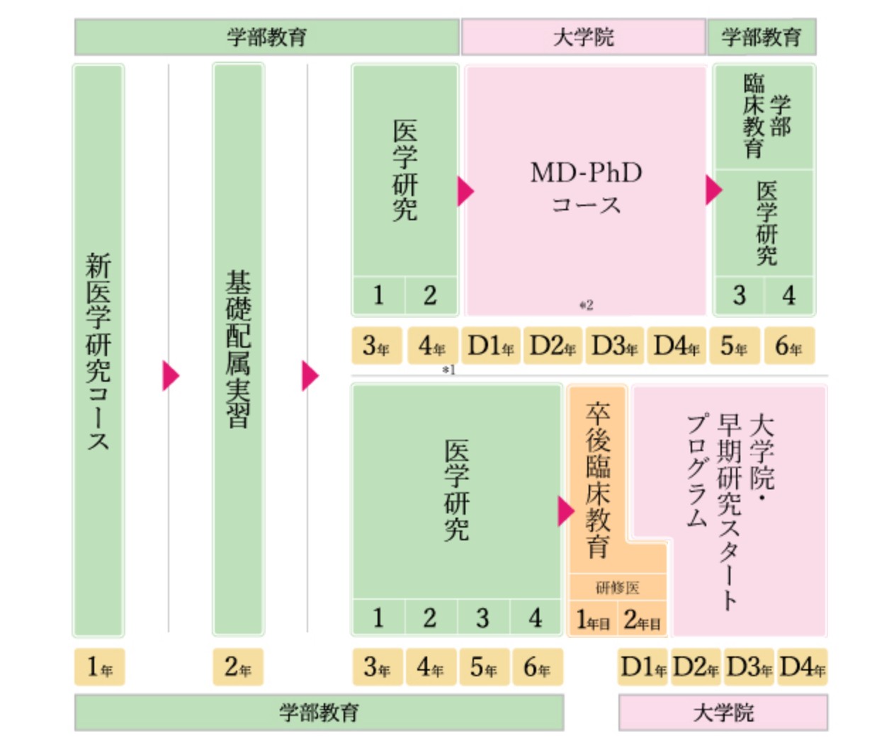 神戸大学カリキュラム