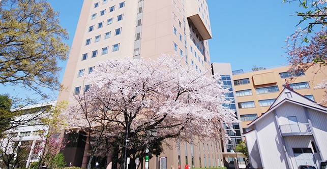 日本女子大