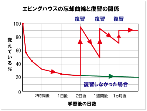 エビングハウス