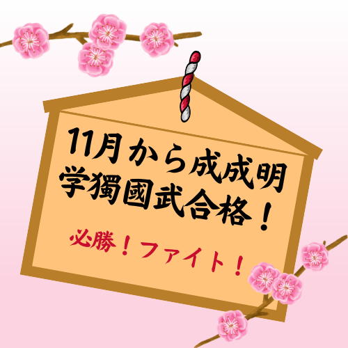 11月から成成明学獨國武に合格するには！！