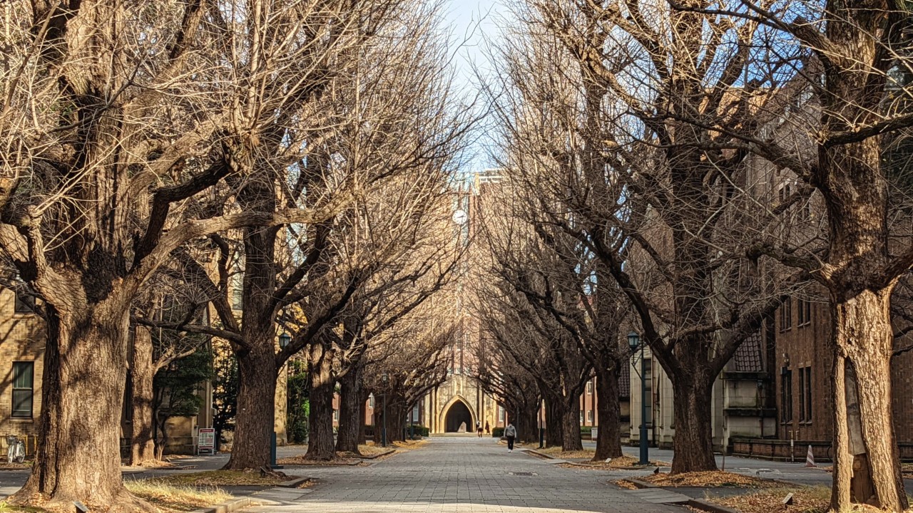 国立大学のイメージ