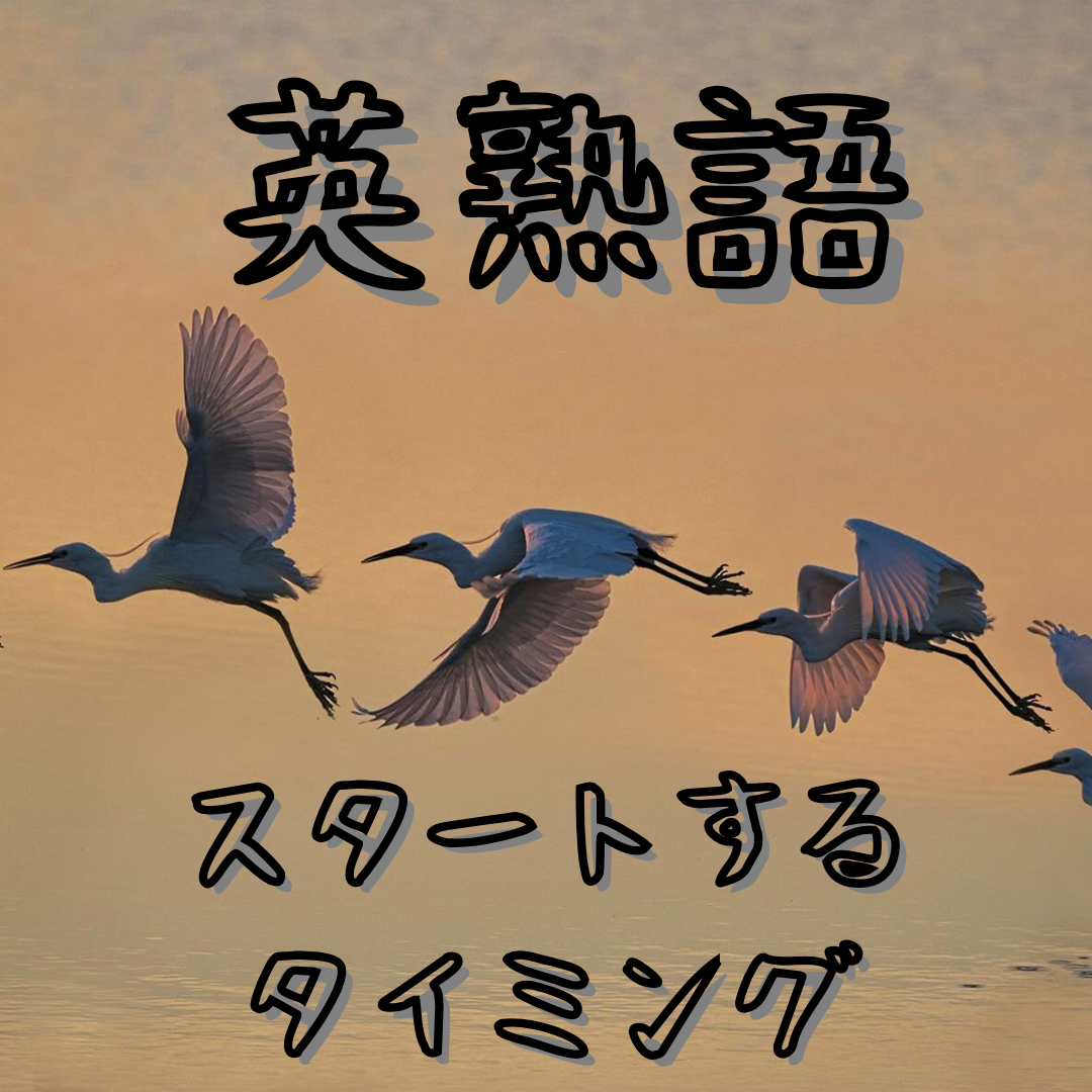 【高１＆高２】英熟語を覚えておきたい理由と始めるタイミングは？