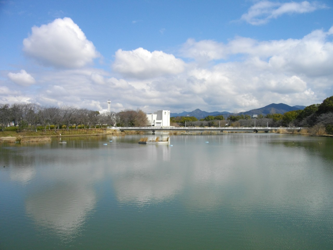 向山公園