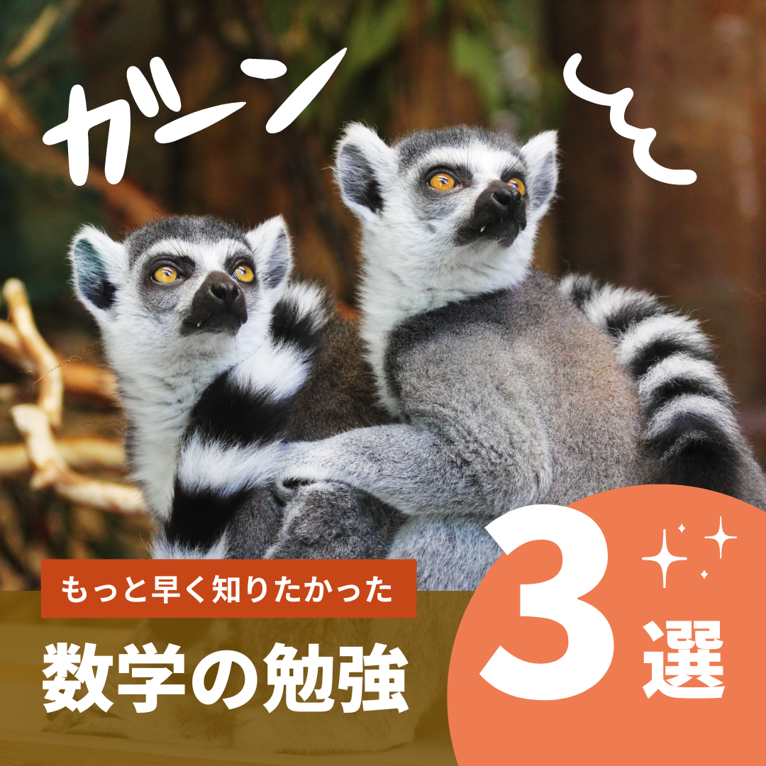 数学の基礎固めに必要な3ステップとやるべき参考書を紹介！