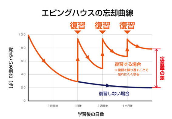 エビングハウス