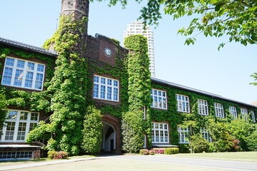 立教大学