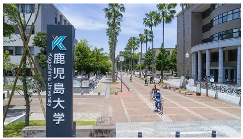 鹿児島大学　鹿大　工学部　鹿児島中央　武田塾　takeda　塾　予備校　個別　集団　武田塾　勉強法　自習室　授業　カリキュラム　特訓　質問　合格　実績　英語　数学　国語　物理