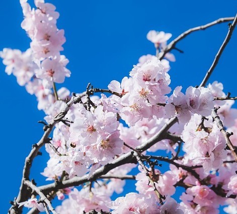 【武田塾茂原校合格体験記2026】東金高校に合格した前田向日葵さんを紹介します