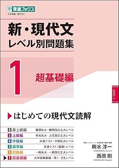 新・現代文レベル別問題集