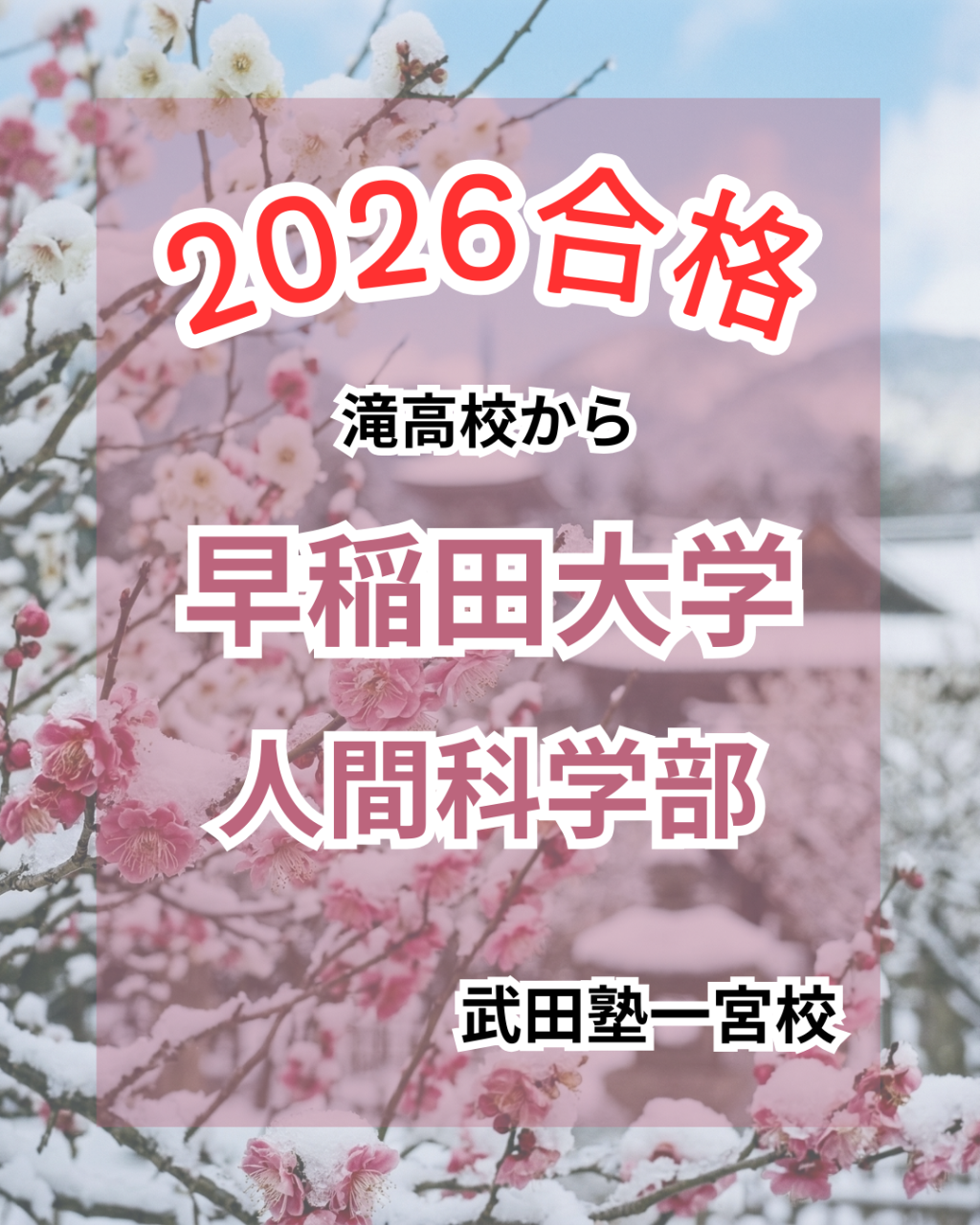 滝高校から早稲田大学へ！一宮市で塾選びに迷う高校生必見の体験記
