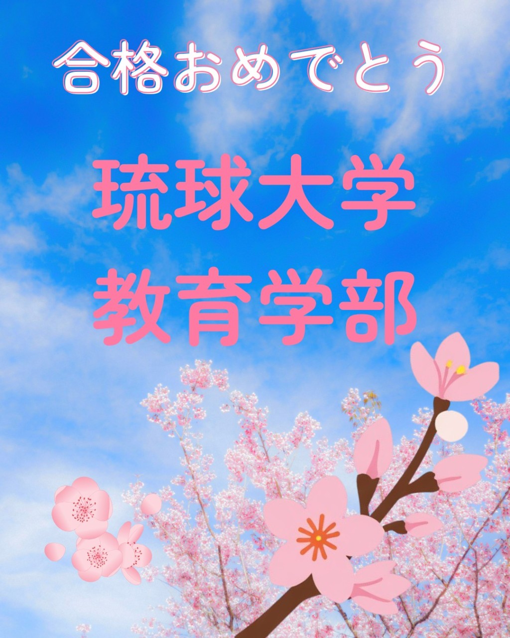 【合格体験記】共テを200点以上上げ、琉球大学教育学部に合格！