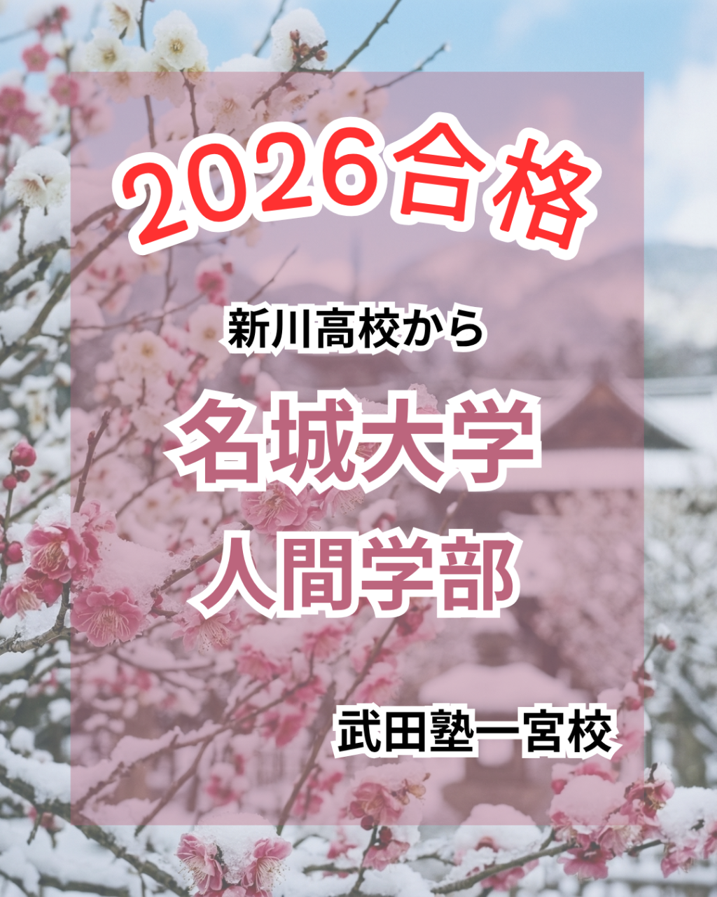 新川高校から名城大学・愛知学院大学へ！等身大の言葉で綴るリアルな軌跡