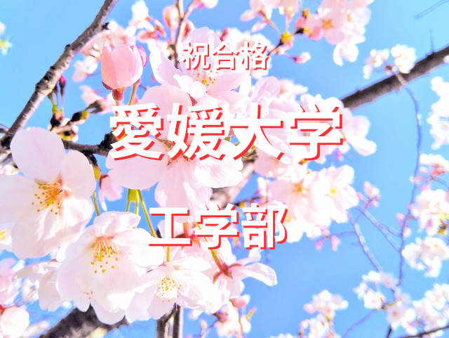 国公立大学に現役合格した　　　　　　　　　　M.Sくん【合格体験記】