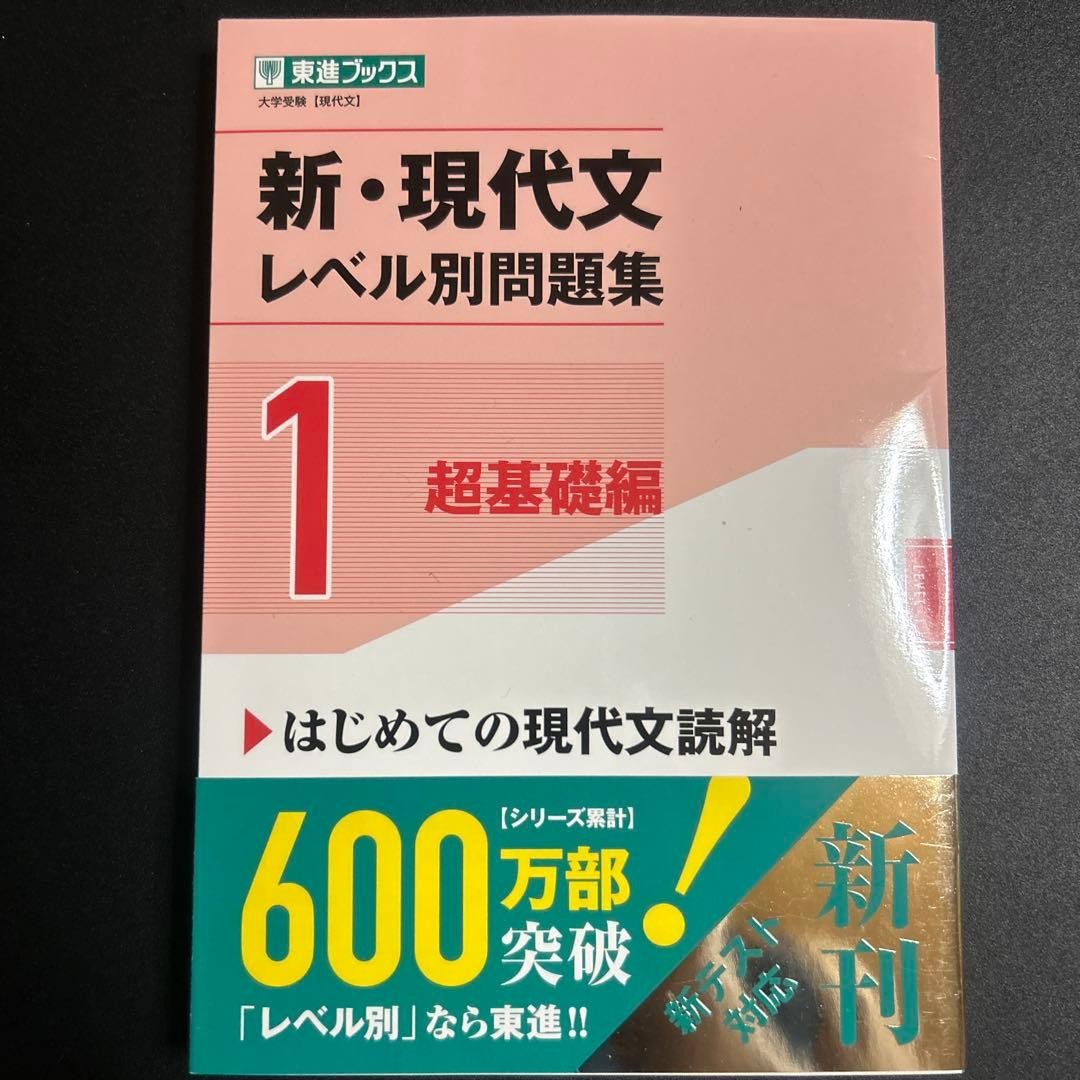 新・現代文レベル別問題集