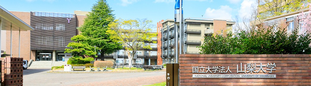 山梨h大学