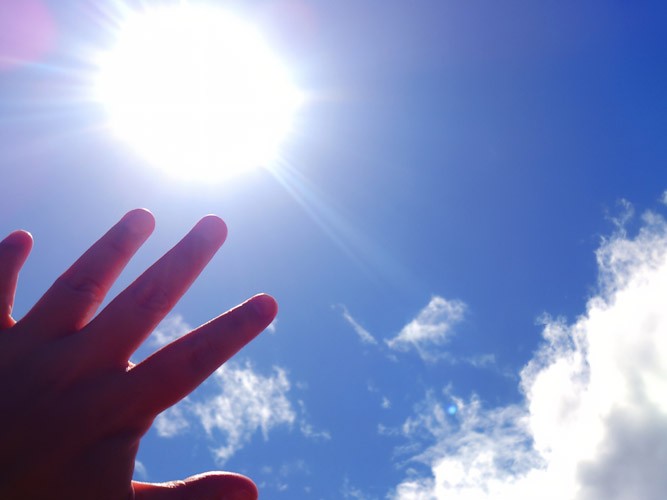 夏太陽