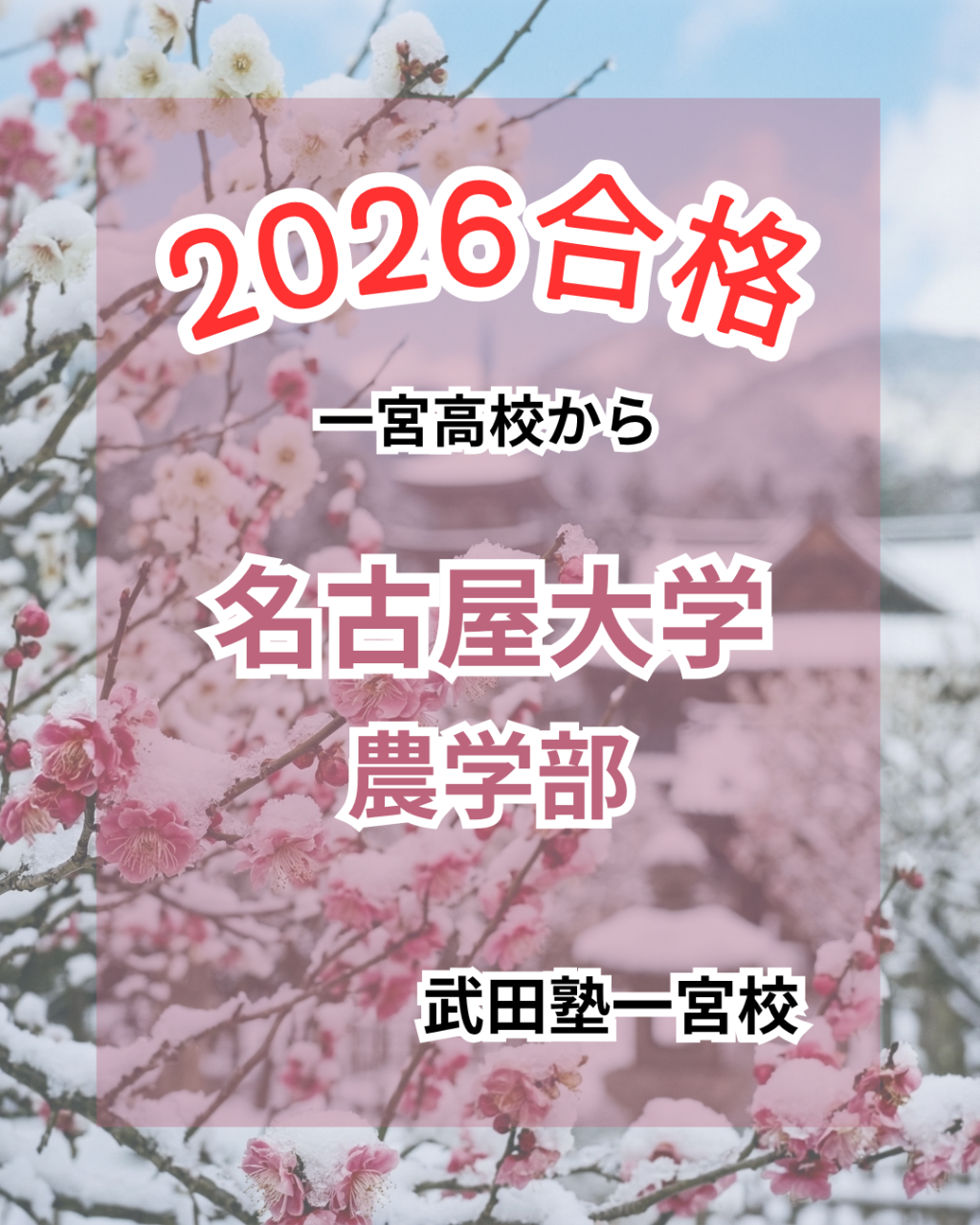 模試の数学の伸び悩みから「2完半」へ！解法暗記を捨てて名古屋大学農学部に逆転合格したストーリー